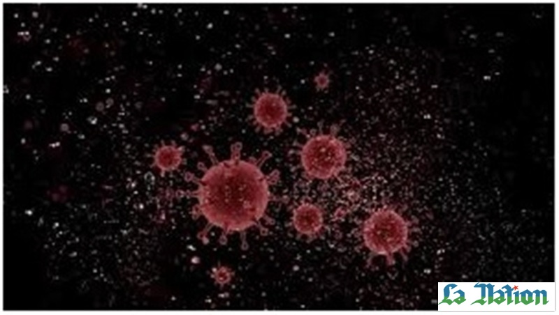 Covid-19 : 109 cas enregistrés au cours des 24 dernières heures à Djibouti