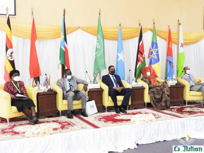 IGAD - La question des eaux souterraines au cœur du 2ème Forum de l’eau de l’IGAD (1)