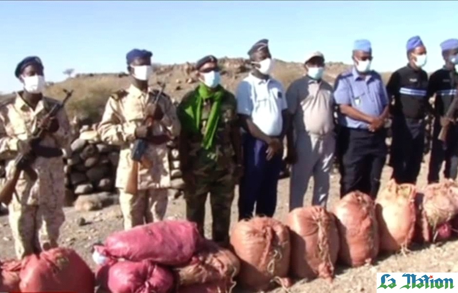 • Brigade de la douane de Dikhil : Saisi d’une importante quantité de Khat de contrebande