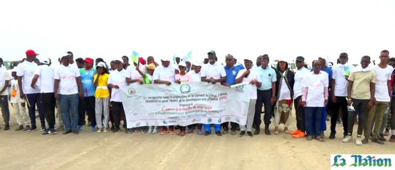 La 3ème édition de la marche de khor-Angar dédiée à la sauvegarde de la mangrove