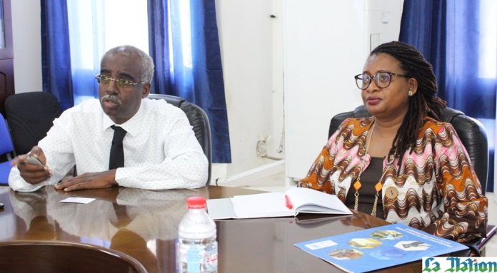 La représentante du PNUD à Djibouti visite l’ADDS pour mieux s’imprégner du travail de cette agence (2)