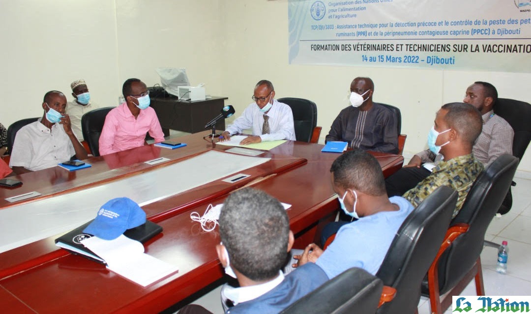 MAEPE-RH/FAO : Atelier de formation sur la vaccination des petits ruminants