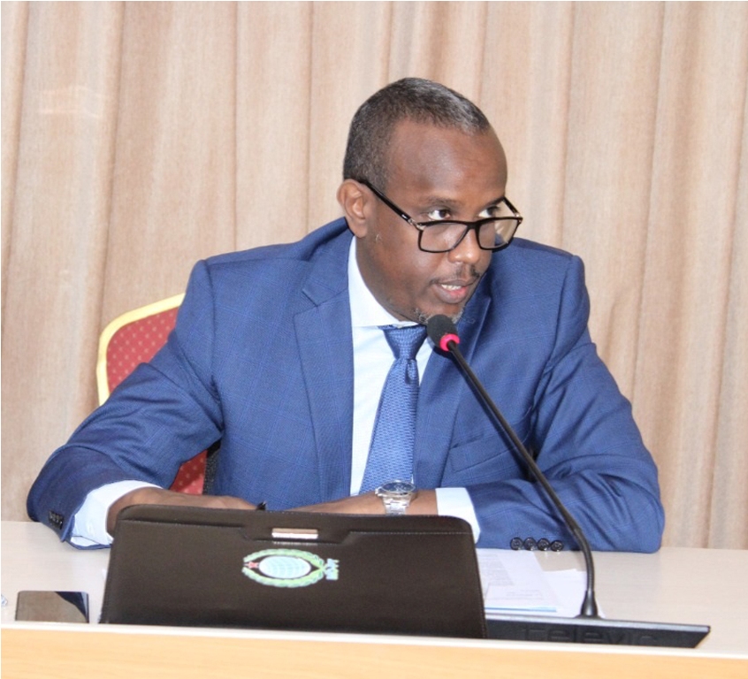 Assemblée nationale : La commission des Affaires Etrangères examine le projet de loi  portant ratification de l'accord de financement pour le projet "Djibouti fondation numérique »