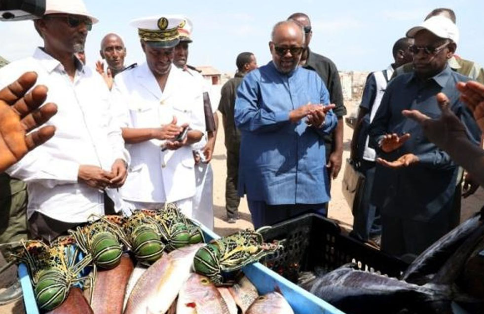 Projet Dryland à Khor-Angar : Des réalisations tangibles