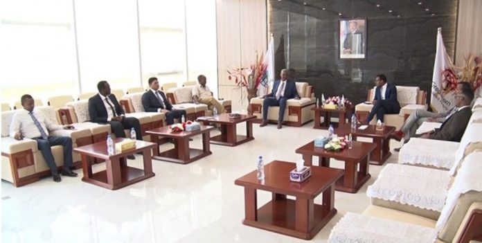 Great Horn Investment Holdings et Ethiopian Investment Holdings signent un protocole d'accord