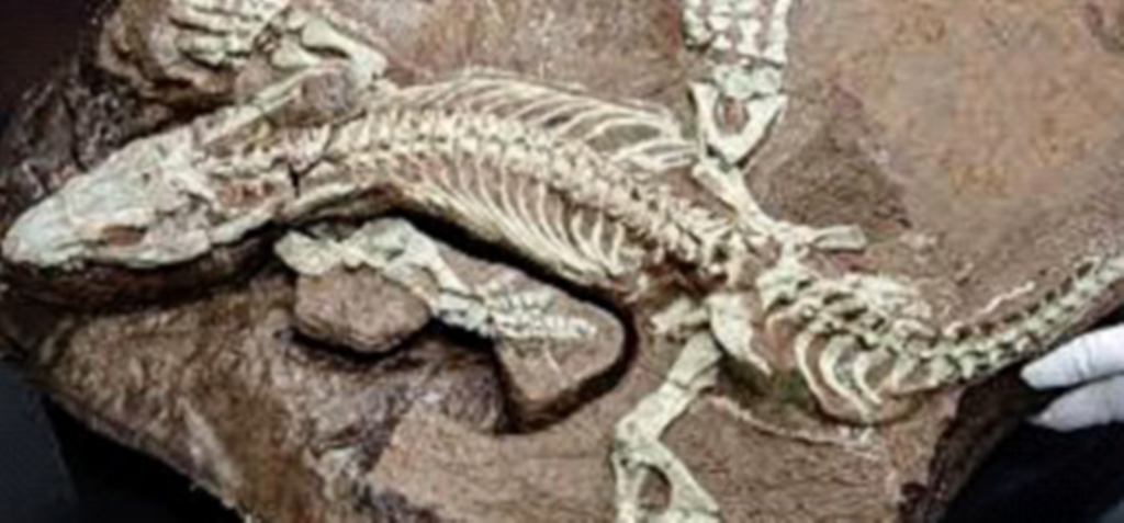 UN CENTRE DE CONSERVATION ET D’ETUDES DES COLLECTIONS ARCHÉOLOGIQUES POUR SAUVEGARDER LE PATRIMOINE NATIONAL DU PAYS