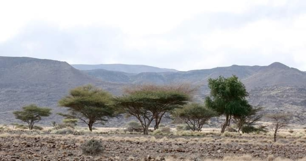 FOCUS ; Aire naturelle protégée de Djalelo