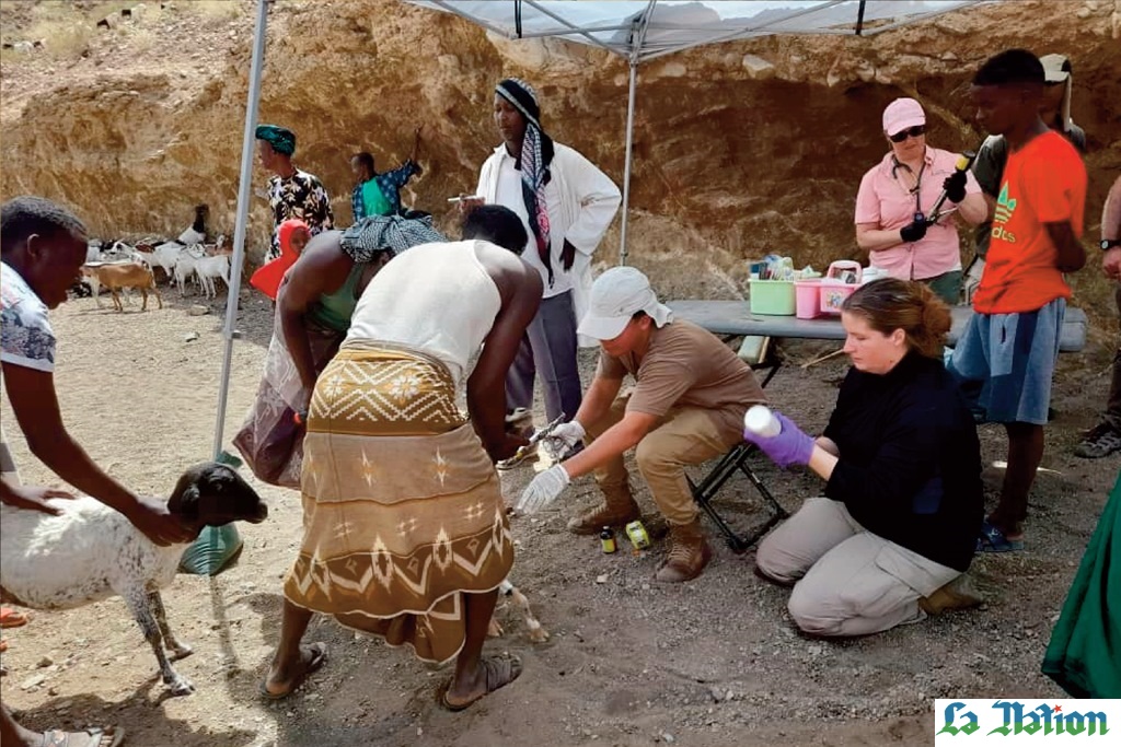 Région d’Ali-Sabieh : Campagne de traitement médical des cheptels