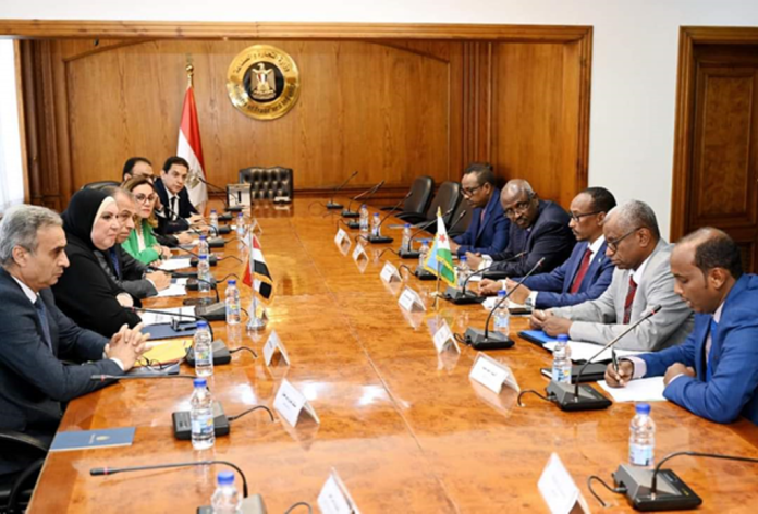 Djibouti Egypte Vers une intégration économique entre les deux pays et un partage d’expérience (2)