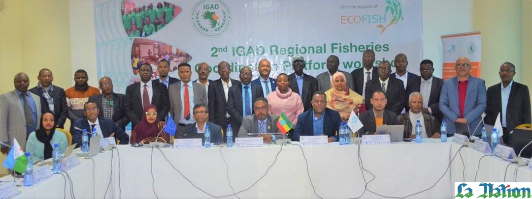Plateforme de Coordination des Pêches de la région de l’IGAD : Pour mieux aligner les actions de promotion de la pêche durable dans la Corne de l’Afrique
