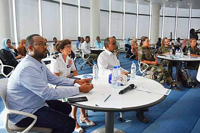 1ère journée Franco-Djiboutienne pluridisciplinaire de formation des internes (2)