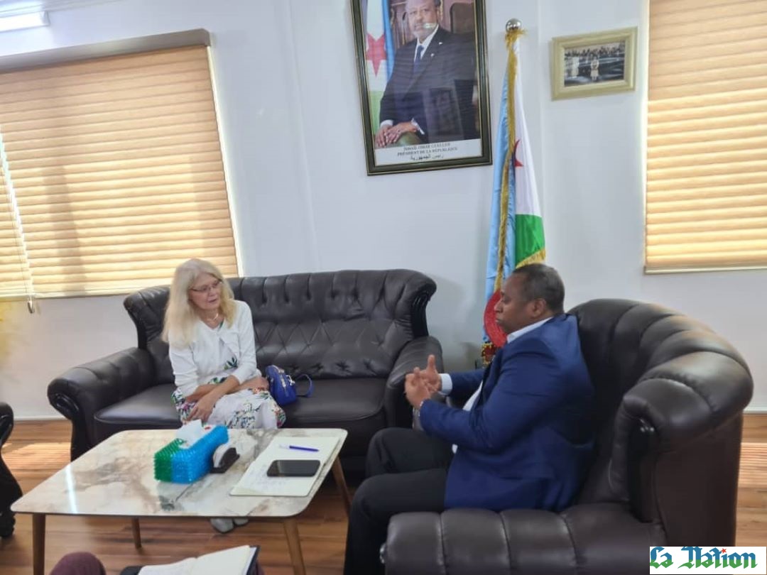 Le ministre Yonis Ali Guedi reçoit la nouvelle ambassadrice d’Allemagne à Djibouti