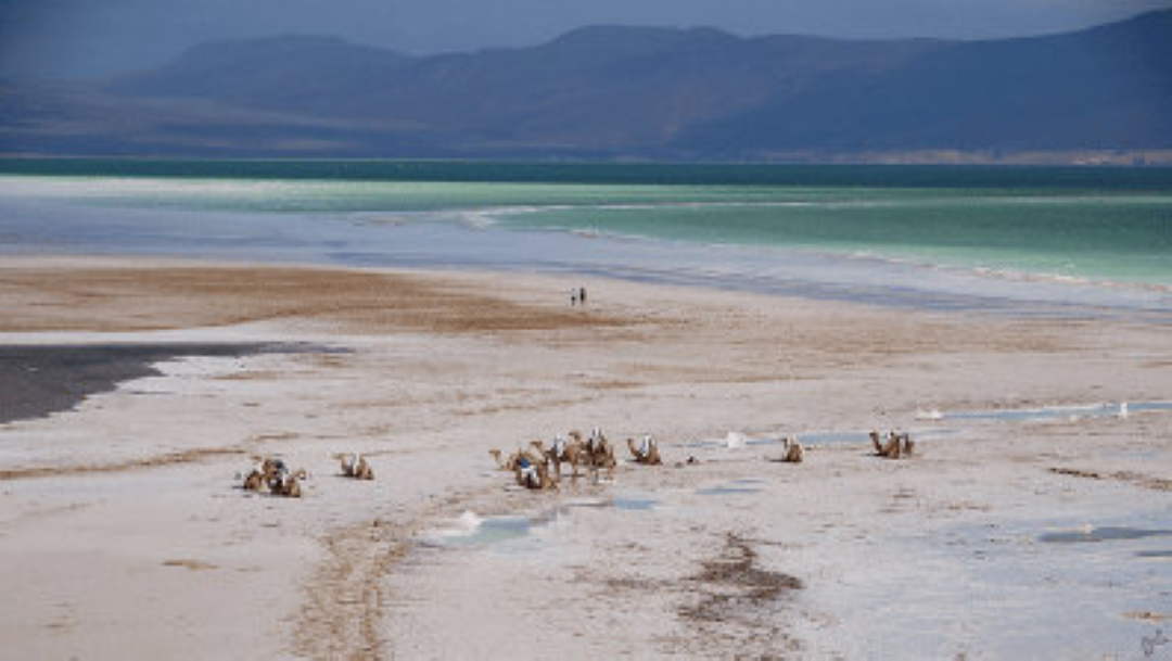 DJIBOUTI : un Sommet pour répondre aux enjeux climatiques