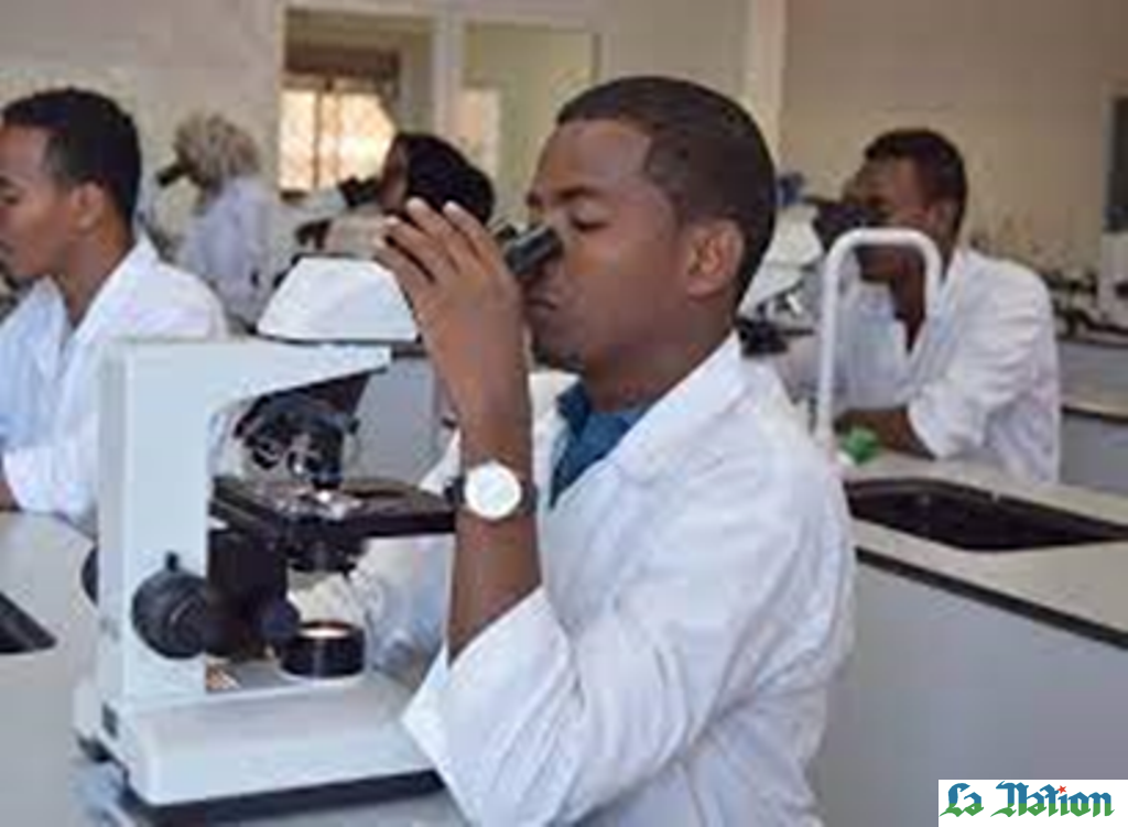 Faculté de médecine de Djibouti : une pépinière de jeunes médecins