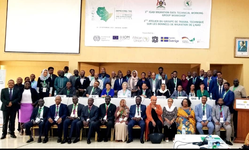 Projet de réponse au développement et aux impacts des déplacements (DRDIP): Le groupe de travail sur le suivi et évaluation en conclave à Tadjourah