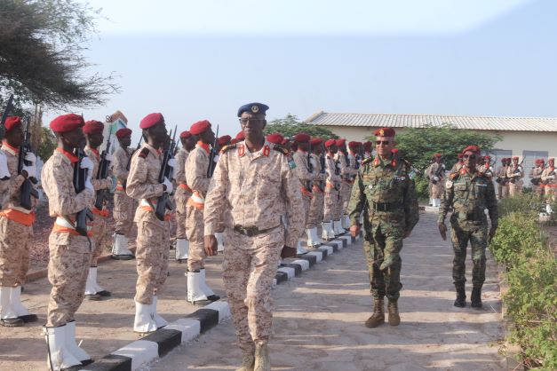 Le CEMGA préside la cérémonie de passation de commandement de la FAR (2)