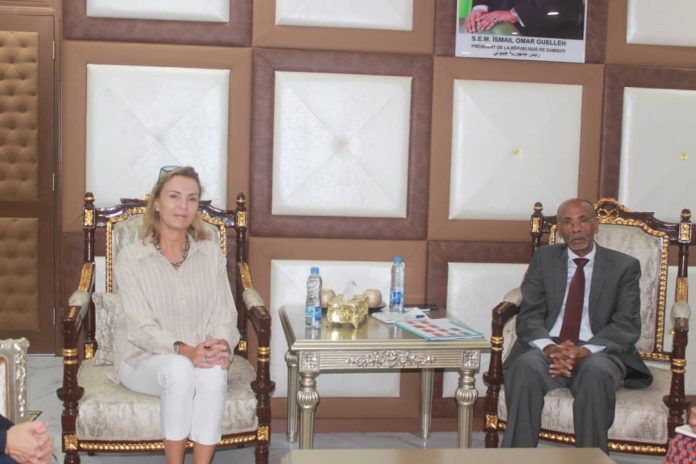 Le ministre du travail reçoit la visite de courtoisie de la représentante de l’OMS à Djibouti (2)