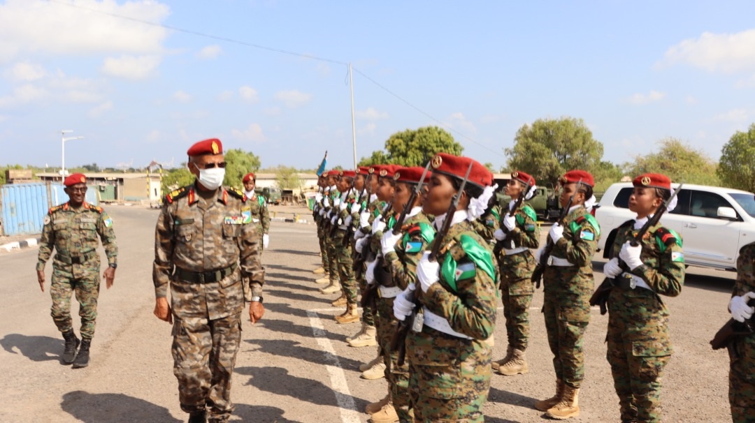 Les FAD honorent leurs athlètes qui ont brillé dans les compétitions internationales