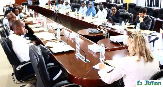 Ministere de la decentralisation Réunion du comité de Pilotage du projet ADIL copy
