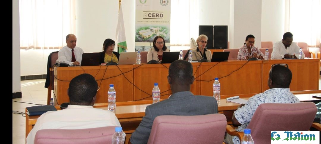 Visite à Djibouti d’une délégation de l’AIEA