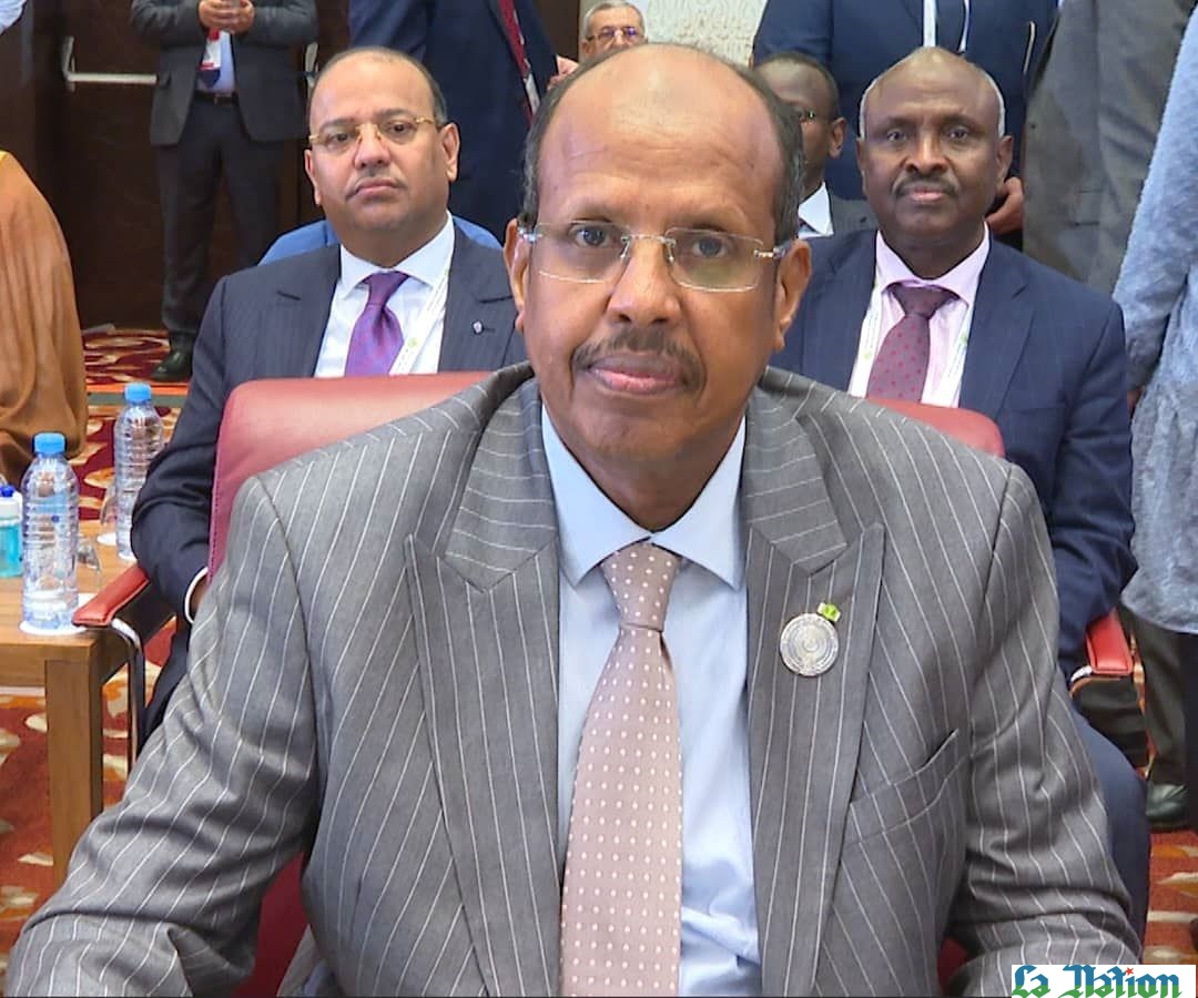 En prévision du 31ème sommet des pays de la ligue arabe : Des Discussions Pour Promouvoir UNE ACTION COMMUNE  DANS TOUS LES DOMAINES