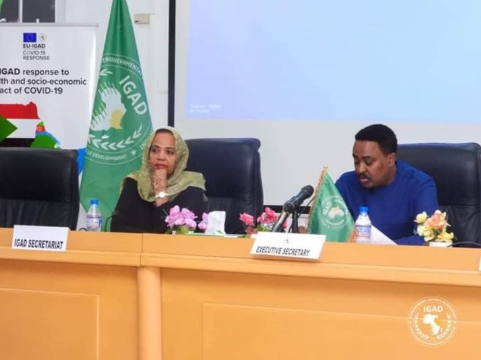 UE IGAD Programme de lutte contre le COVID (3)