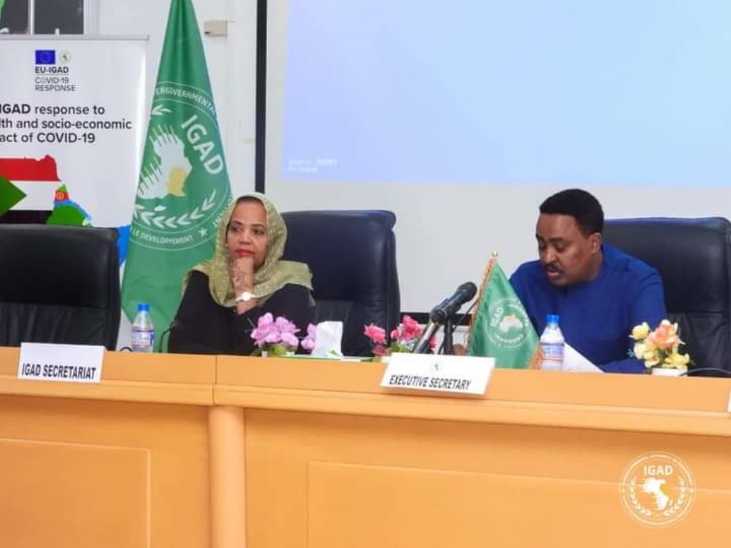 UE/IGAD : Programme de lutte contre le COVID Le comité de pilotage tient sa 6ème réunion