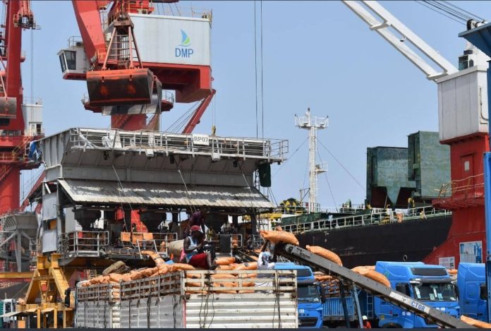 DMP Le Port Polyvalent de Doraleh, un hub de transbordement régional (3)