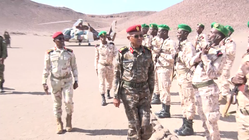 Inspection des postes avancés par le CEMGA