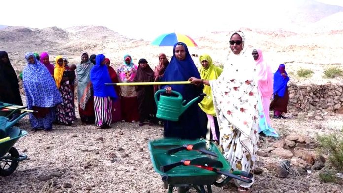 Les femmes d’Oboley formées aux techniques de l’agriculture