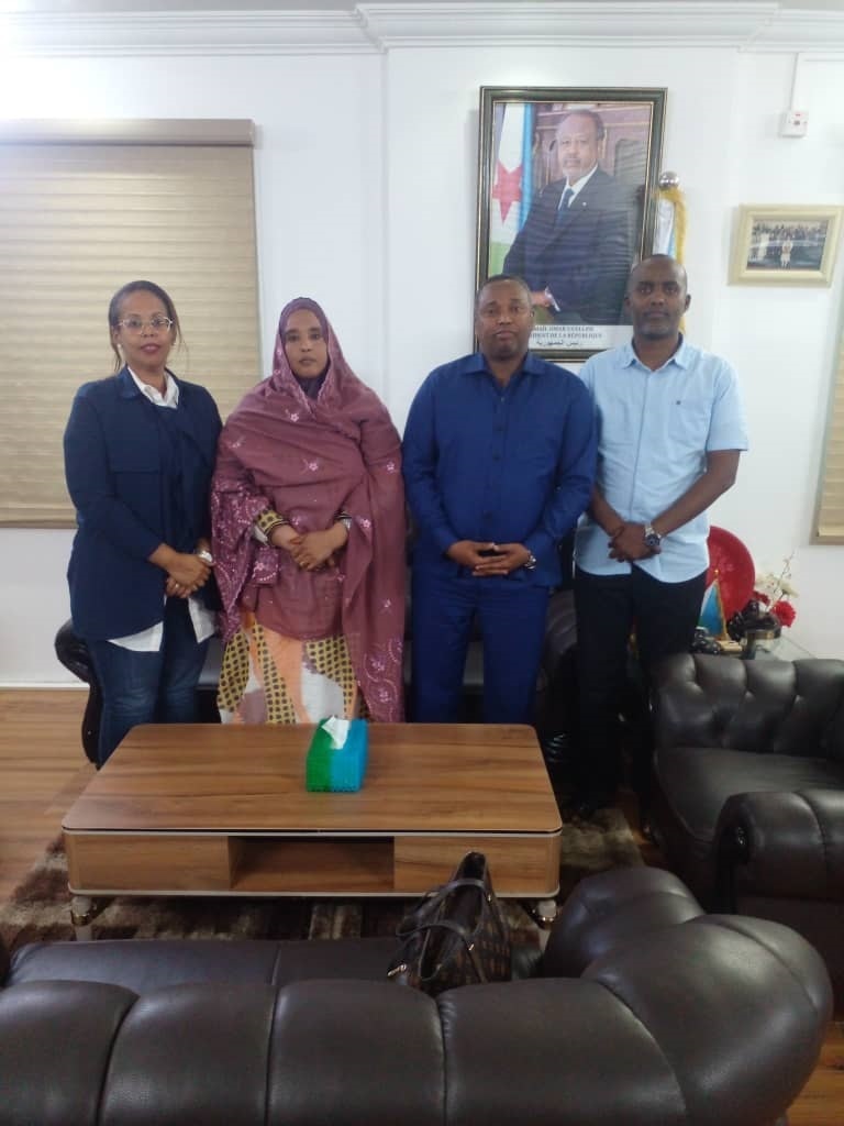 Dernière ligne droite pour les puits de la région de Dikhil