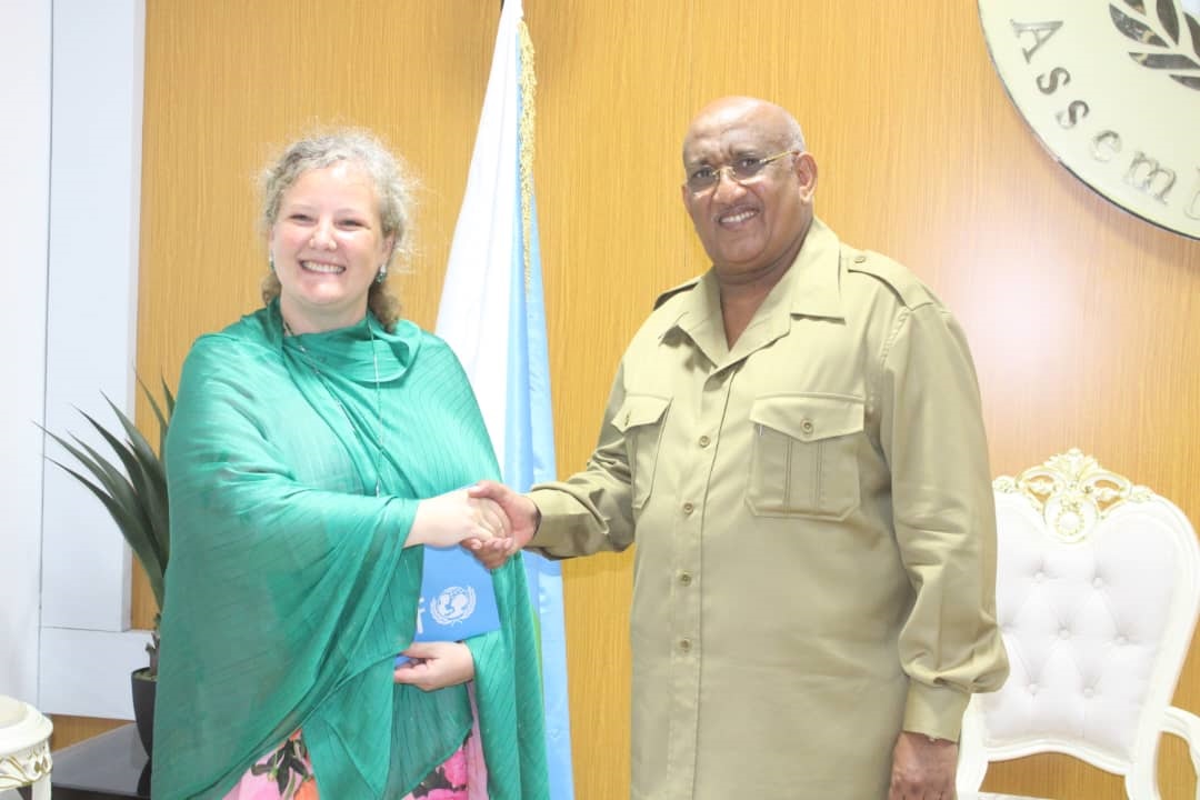 Le Président de l’Assemblée nationale reçoit la visite de courtoisie de plusieurs diplomates