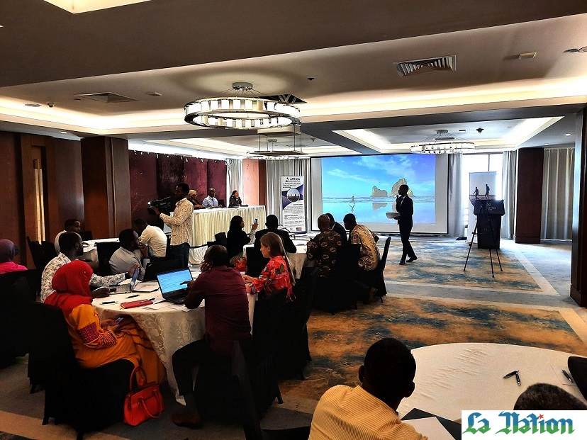 INSTAD : atelier consultatif des parties prenantes sur les questionnaires du dénombrement du 3ème recensement général de la population et de l’habitat