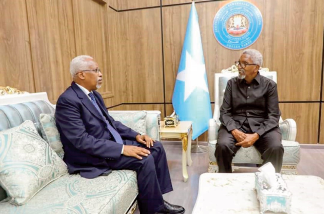 Le nouvel ambassadeur de Djibouti en Somalie reçu par Le président de la chambre haute du parlement