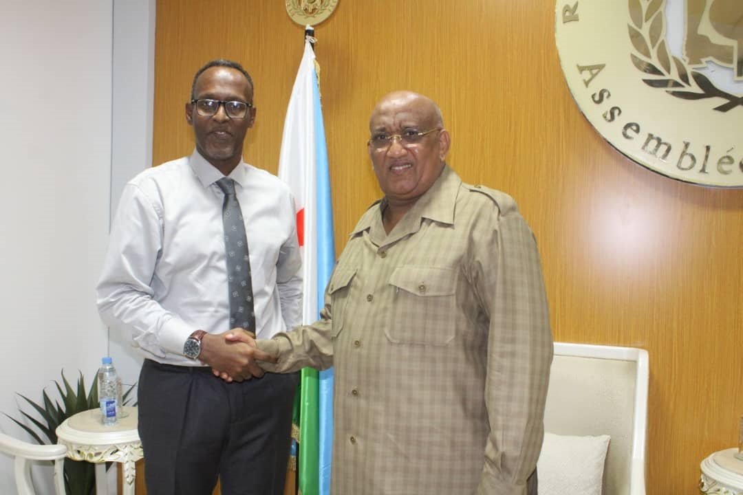 Le président de l’Assemblée Nationale a reçu en audience le directeur de l’INSTAD