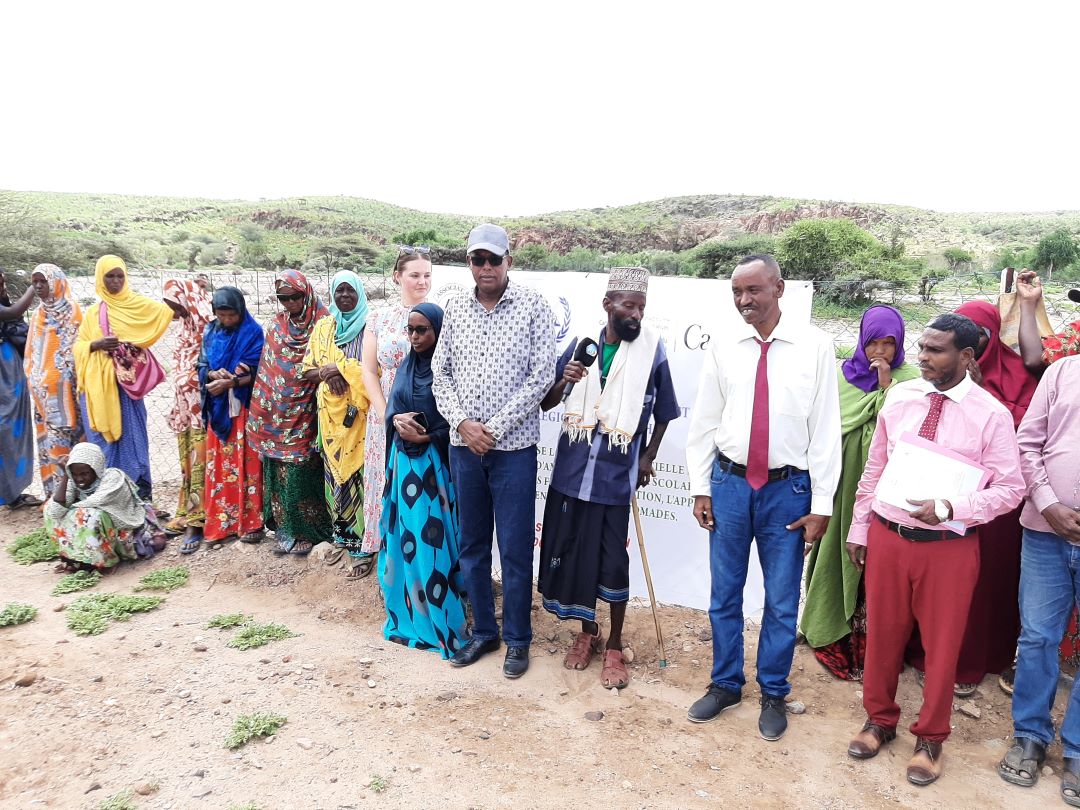 ONG Paix et Lait/Ambassade du Canada : Améliorer les conditions de vie des familles nomades de Guestir