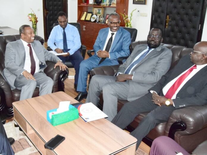 Renforcer la coopération bilatérale entre Djibouti et le Soudan du Sud dans les domaines des hydrocarbures et du gaz naturel (2)