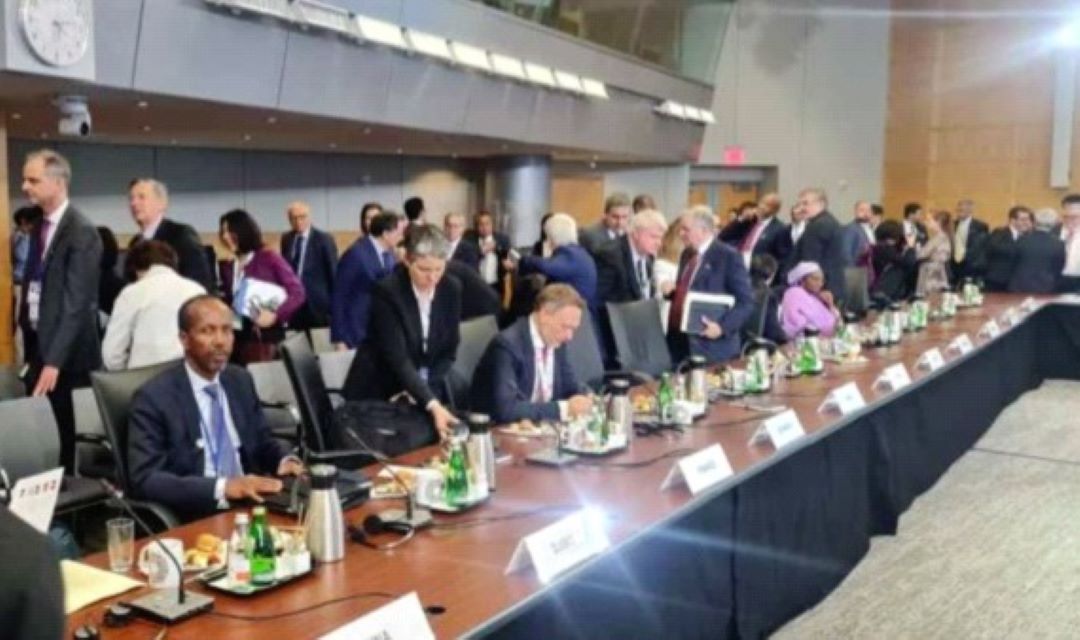 Réunions de Printemps du FMI et de la BM Djibouti désigné pour représenter les 23 pays africains francophones du Groupe Afrique II au sein du CMFI