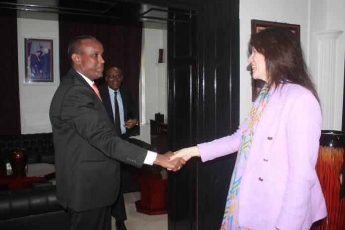 LE MINISTRE DE LA COMMUNICATION REÇOIT LA DIRECTRICE GÉNÉRALE DES RELATIONS AVEC L’AFRIQUE DE L’EST ET SUD DE TURQUIE (2)