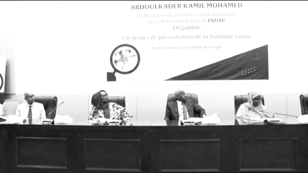 • La nouvelle Politique Nationale du Genre 2023-2030 : Un cadre de référence et d'orientation pour l'action du gouvernement et des partenaires du développement