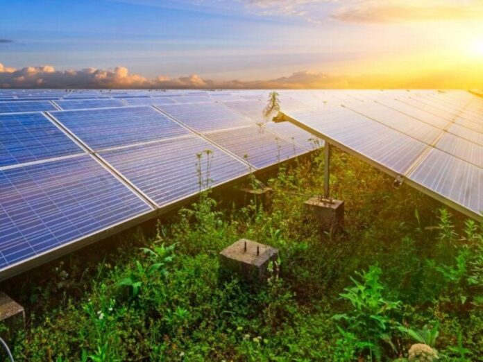 L’énergie solaire est-elle la plus respectueuse des sols