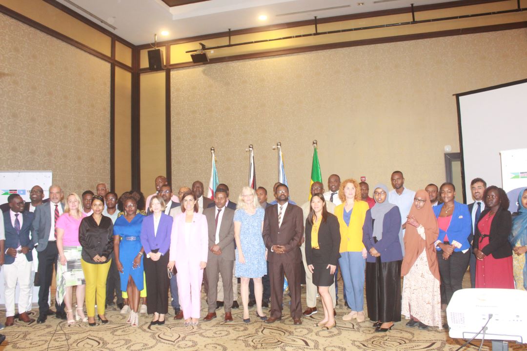 Initiative Horn africa : Séminaire régional pour le gouvernement numérique et la cybersécurité