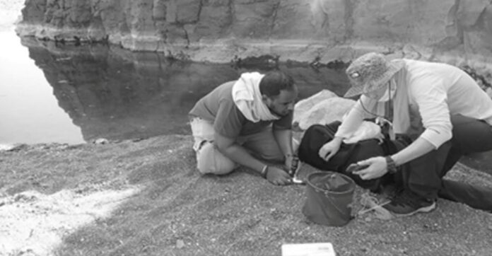 Université de Djibouti Découverte d’une forme spirale de spiruline au lac Abbé (1)