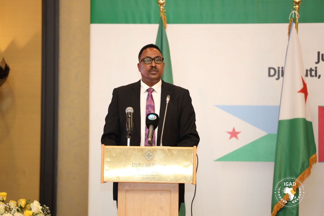 COUP DE PROJECTEUR SUR… L’IGAD