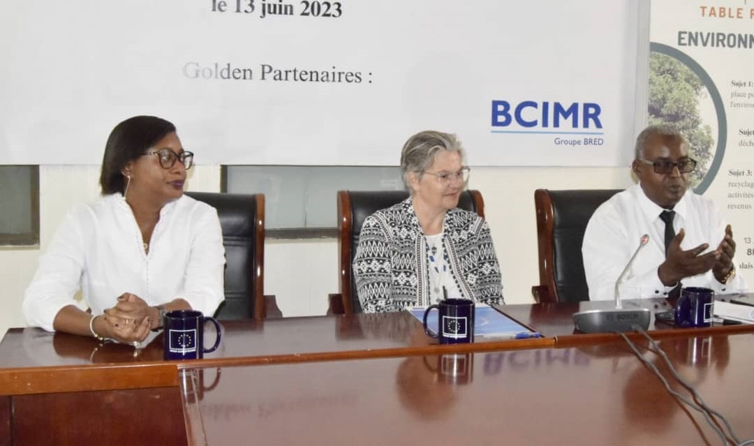 Journée internationale de l’Environnement : Une table ronde pour la promotion de pratiques durables