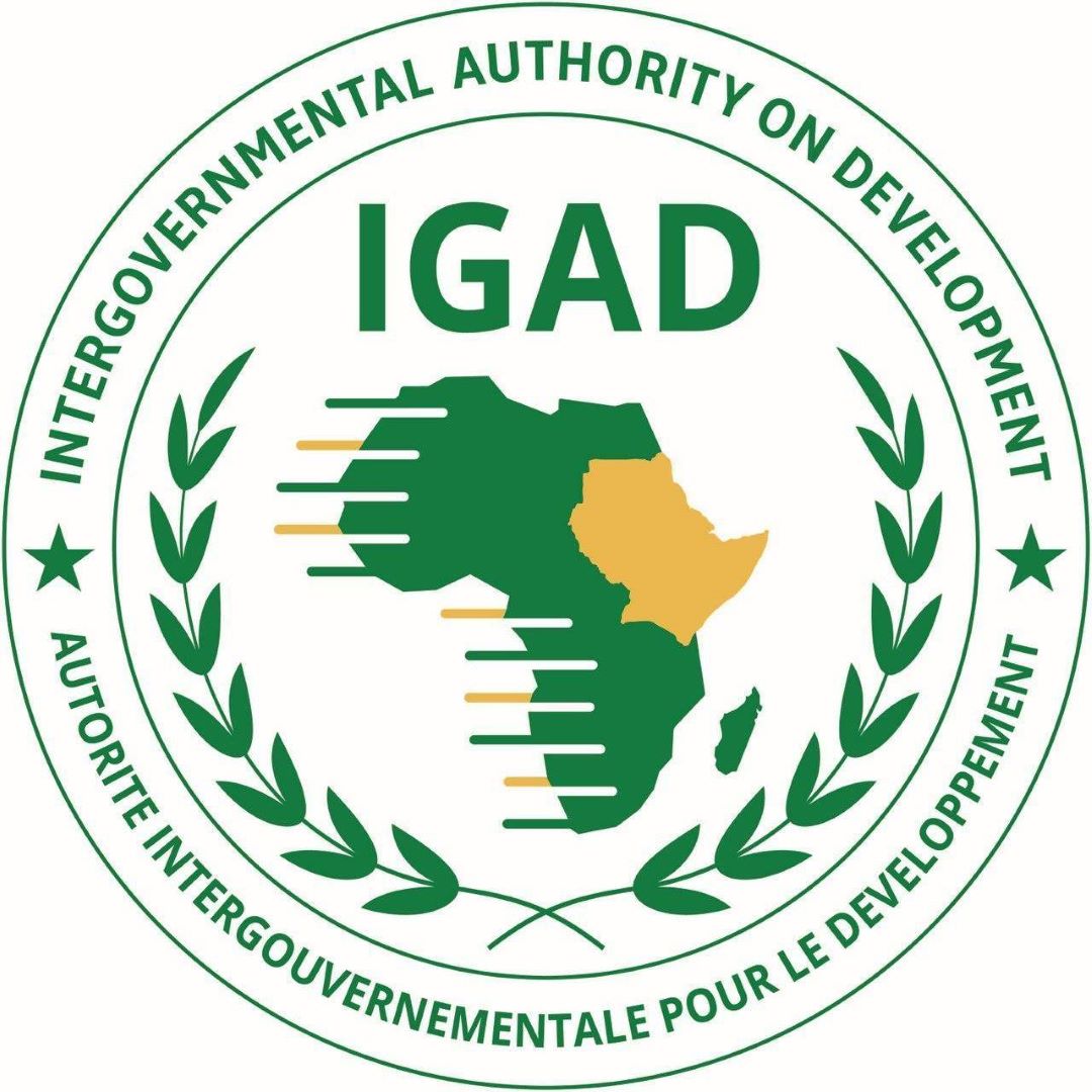 Le 14ème sommet ordinaire de l’IGAD débouche sur une série importante de résolutions