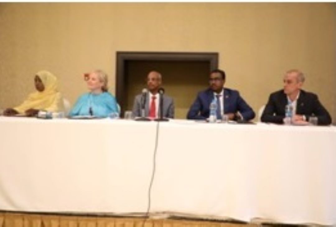 VIH/SYPHILIS/HEPATITE B : Réflexion sur la triple élimination de la transmission mère-enfant