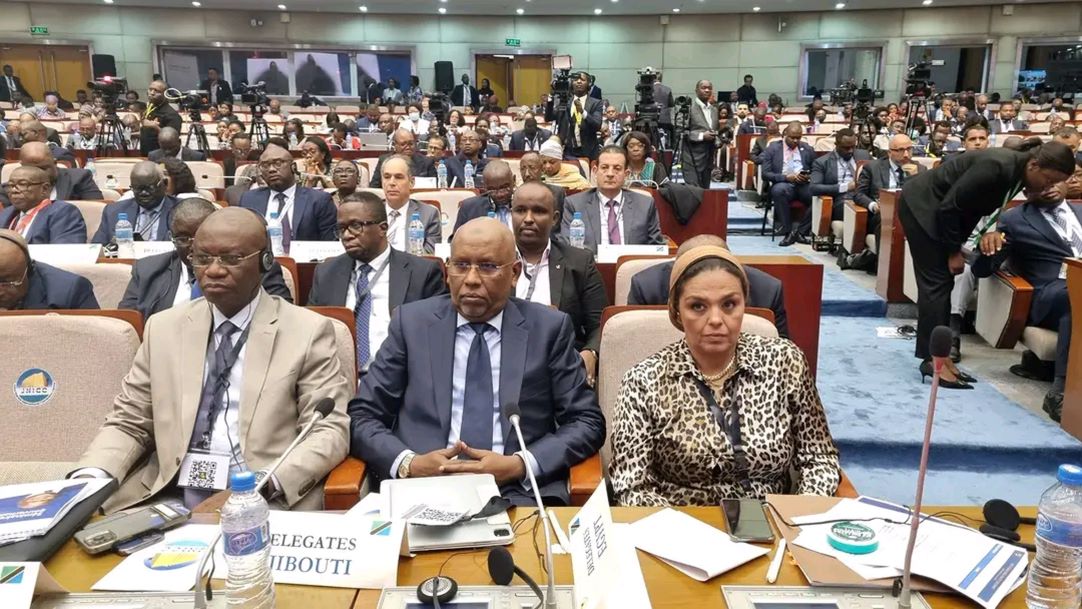 1er Sommet des chefs d’Etat africains sur le capital humain : La république de Djibouti représentée par le ministre de l’Economie et des Finances