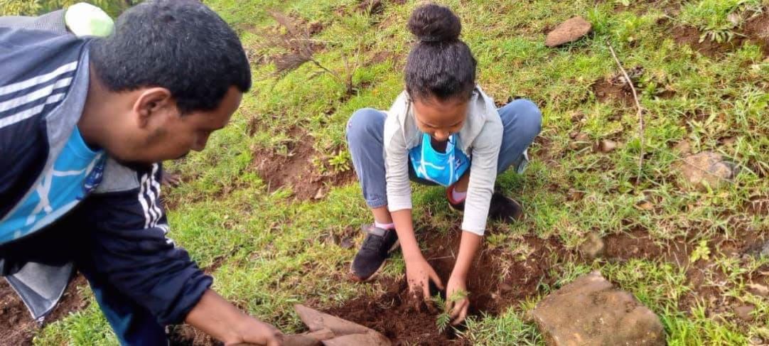 Intégration verte Éthiopie-Djibouti  :  Unis pour un avenir durable