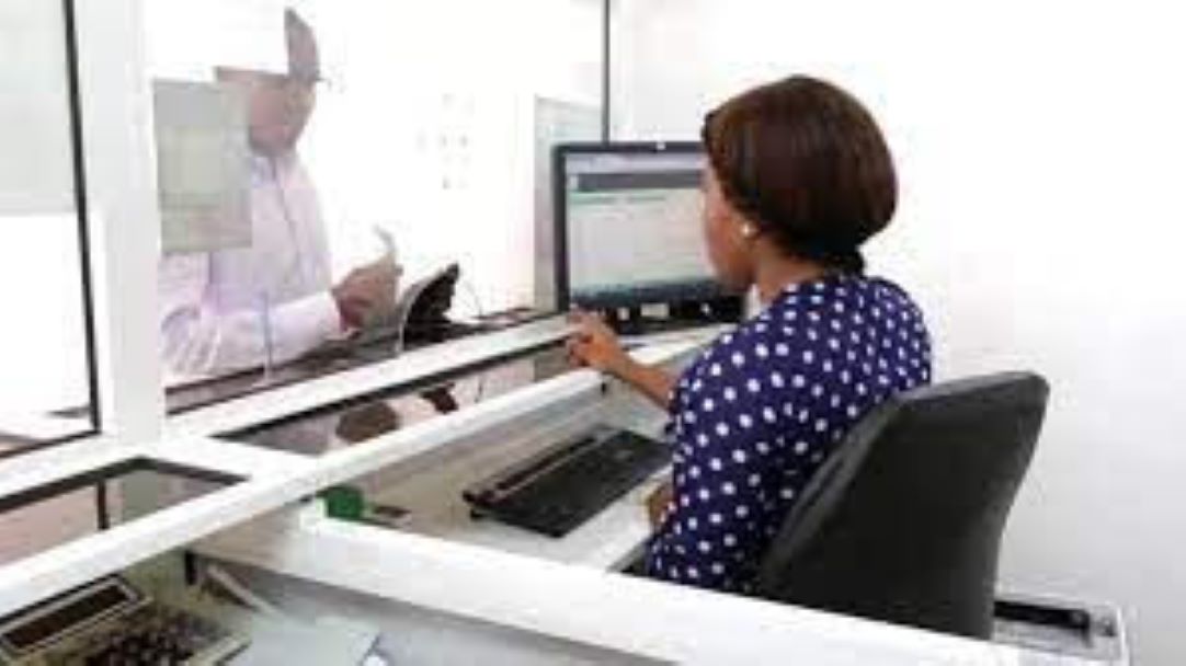 Job de vacances : occupation des élèves et étudiants